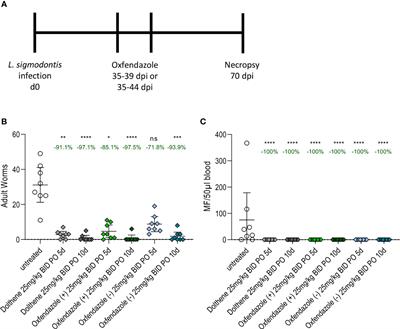 Comparison of the macrofilaricidal efficacy of oxfendazole and its isomers against the rodent filaria Litomosoides sigmodontis